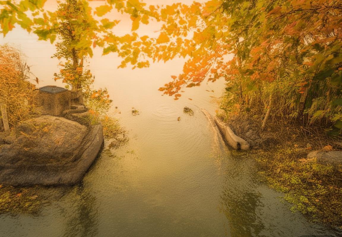 保加利亚VS捷克友谊赛：激情对决，历史火花碰撞(图1)